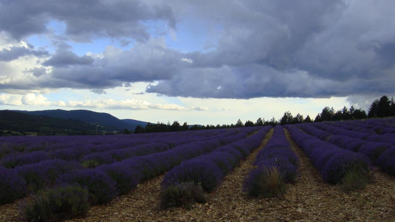 La Maison Bleue Sault-de-Vaucluse Exteriér fotografie