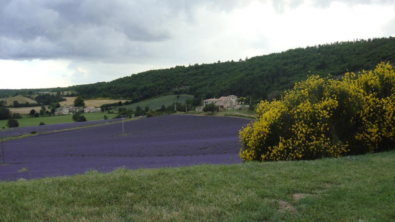 La Maison Bleue Sault-de-Vaucluse Exteriér fotografie